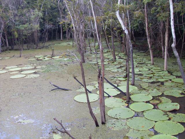 VLUU L100, M100  / Samsung L100, M100