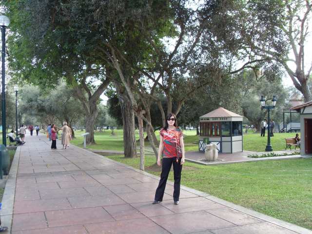 VLUU L100, M100 / Samsung L100, M100