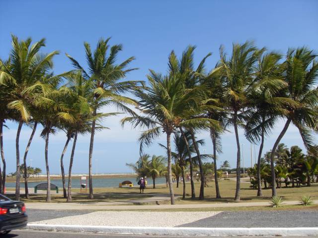 VLUU L100, M100  / Samsung L100, M100