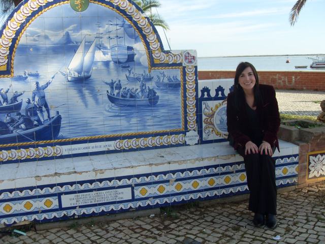 VLUU L100, M100  / Samsung L100, M100