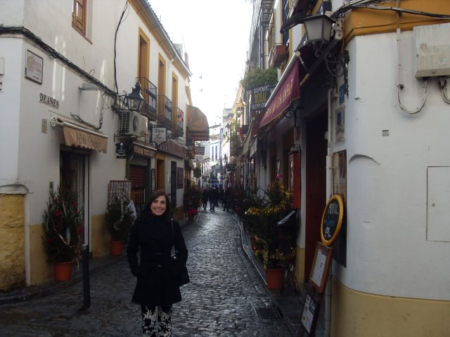 VLUU L100, M100  / Samsung L100, M100